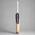 Kashmiri Willow Leather Cricket Bat