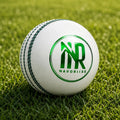 White – Leather Cricket Ball